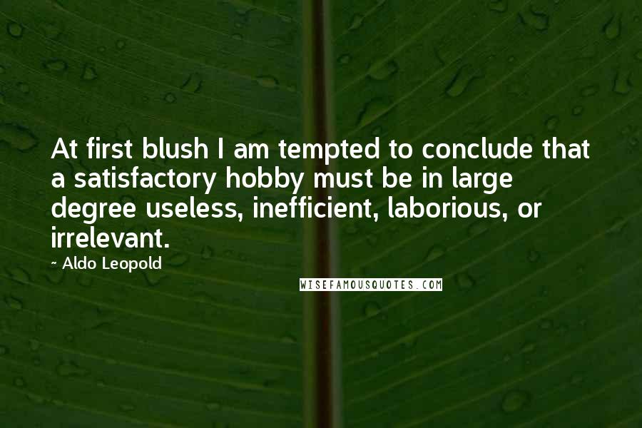 Aldo Leopold Quotes: At first blush I am tempted to conclude that a satisfactory hobby must be in large degree useless, inefficient, laborious, or irrelevant.