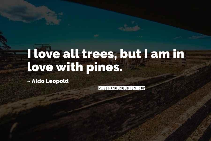 Aldo Leopold Quotes: I love all trees, but I am in love with pines.