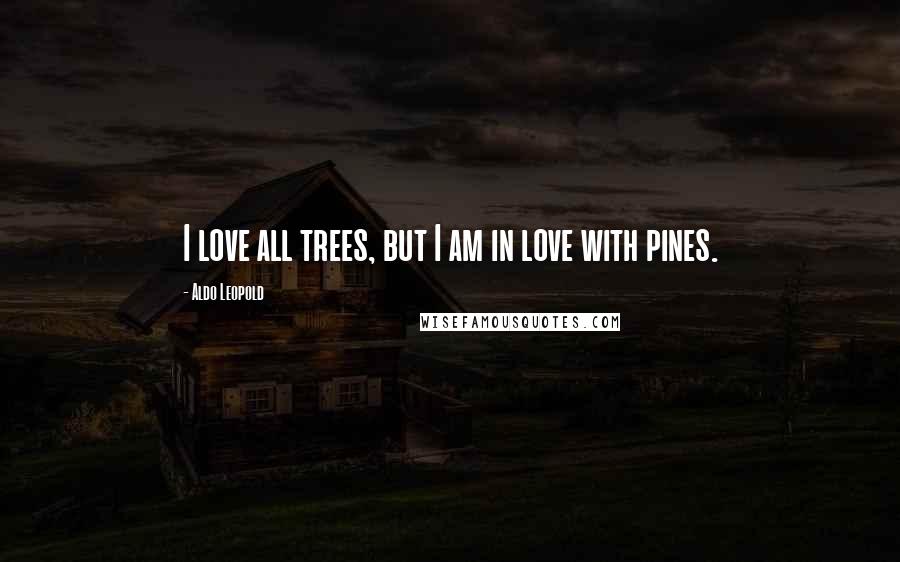 Aldo Leopold Quotes: I love all trees, but I am in love with pines.