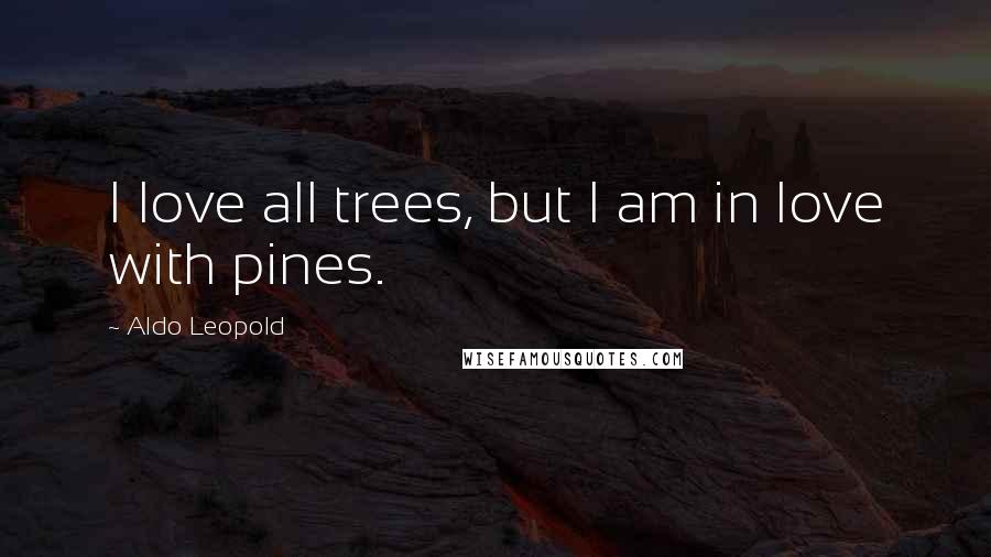 Aldo Leopold Quotes: I love all trees, but I am in love with pines.