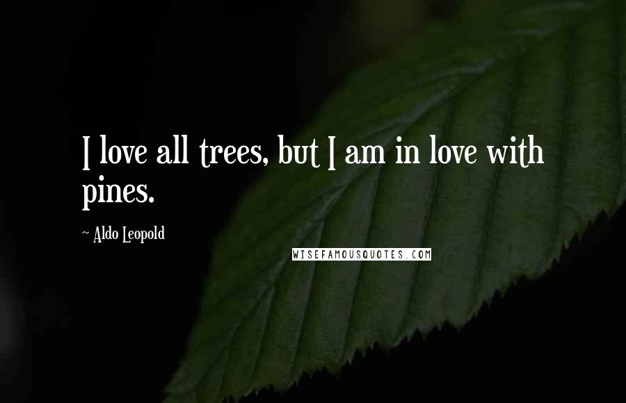 Aldo Leopold Quotes: I love all trees, but I am in love with pines.