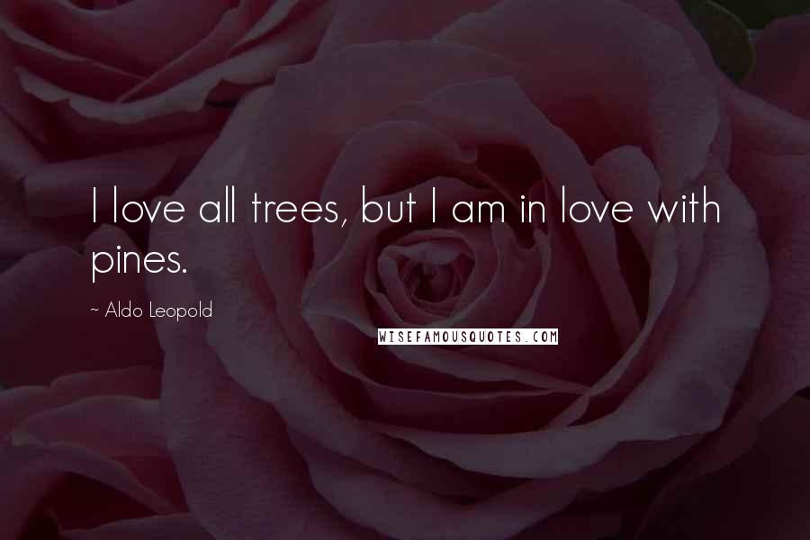 Aldo Leopold Quotes: I love all trees, but I am in love with pines.