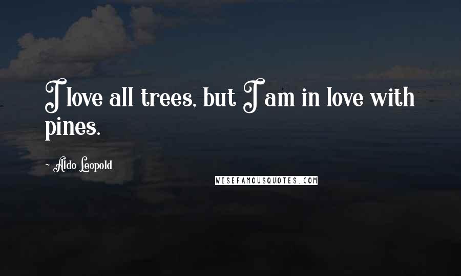 Aldo Leopold Quotes: I love all trees, but I am in love with pines.