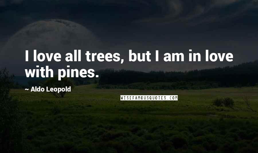 Aldo Leopold Quotes: I love all trees, but I am in love with pines.