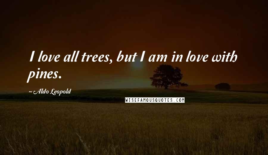 Aldo Leopold Quotes: I love all trees, but I am in love with pines.