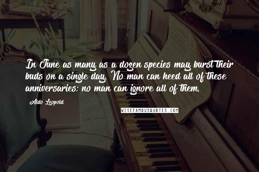 Aldo Leopold Quotes: In June as many as a dozen species may burst their buds on a single day. No man can heed all of these anniversaries; no man can ignore all of them.