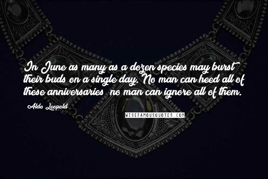 Aldo Leopold Quotes: In June as many as a dozen species may burst their buds on a single day. No man can heed all of these anniversaries; no man can ignore all of them.