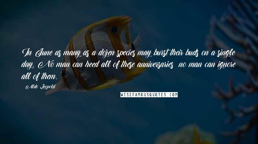 Aldo Leopold Quotes: In June as many as a dozen species may burst their buds on a single day. No man can heed all of these anniversaries; no man can ignore all of them.