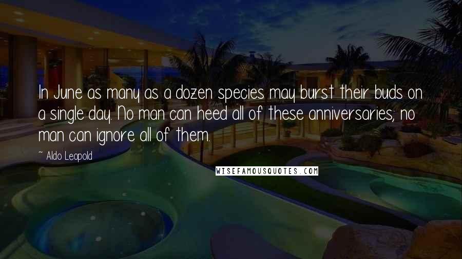 Aldo Leopold Quotes: In June as many as a dozen species may burst their buds on a single day. No man can heed all of these anniversaries; no man can ignore all of them.