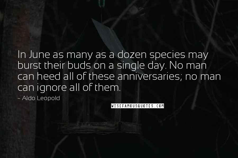 Aldo Leopold Quotes: In June as many as a dozen species may burst their buds on a single day. No man can heed all of these anniversaries; no man can ignore all of them.