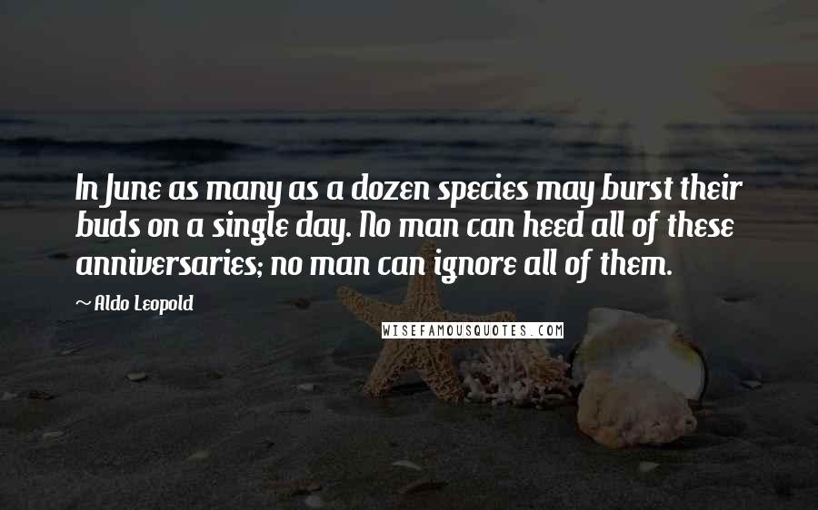 Aldo Leopold Quotes: In June as many as a dozen species may burst their buds on a single day. No man can heed all of these anniversaries; no man can ignore all of them.