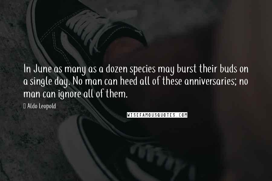 Aldo Leopold Quotes: In June as many as a dozen species may burst their buds on a single day. No man can heed all of these anniversaries; no man can ignore all of them.