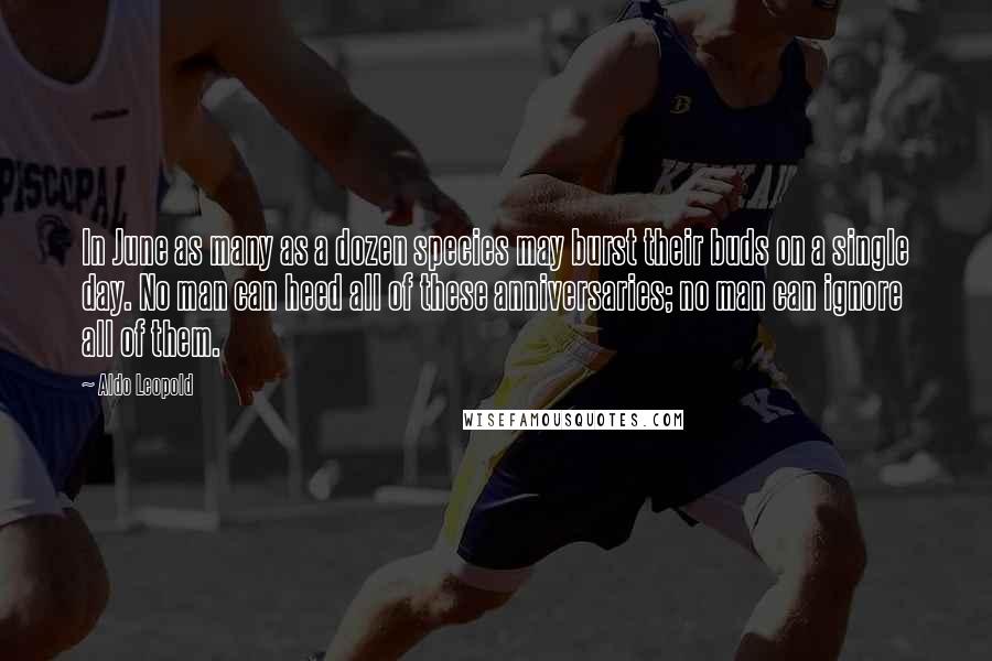 Aldo Leopold Quotes: In June as many as a dozen species may burst their buds on a single day. No man can heed all of these anniversaries; no man can ignore all of them.