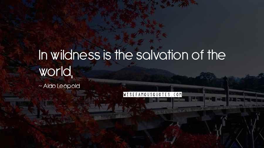 Aldo Leopold Quotes: In wildness is the salvation of the world,