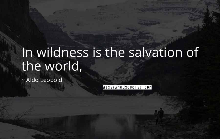 Aldo Leopold Quotes: In wildness is the salvation of the world,