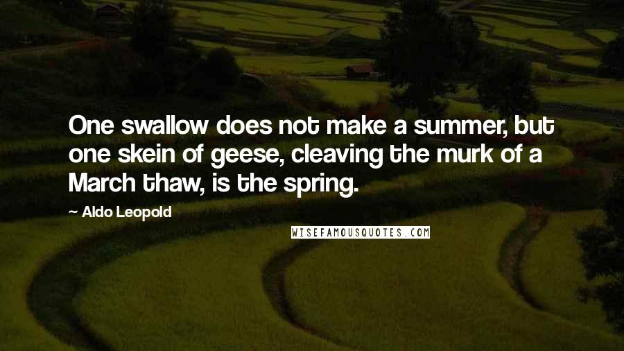 Aldo Leopold Quotes: One swallow does not make a summer, but one skein of geese, cleaving the murk of a March thaw, is the spring.