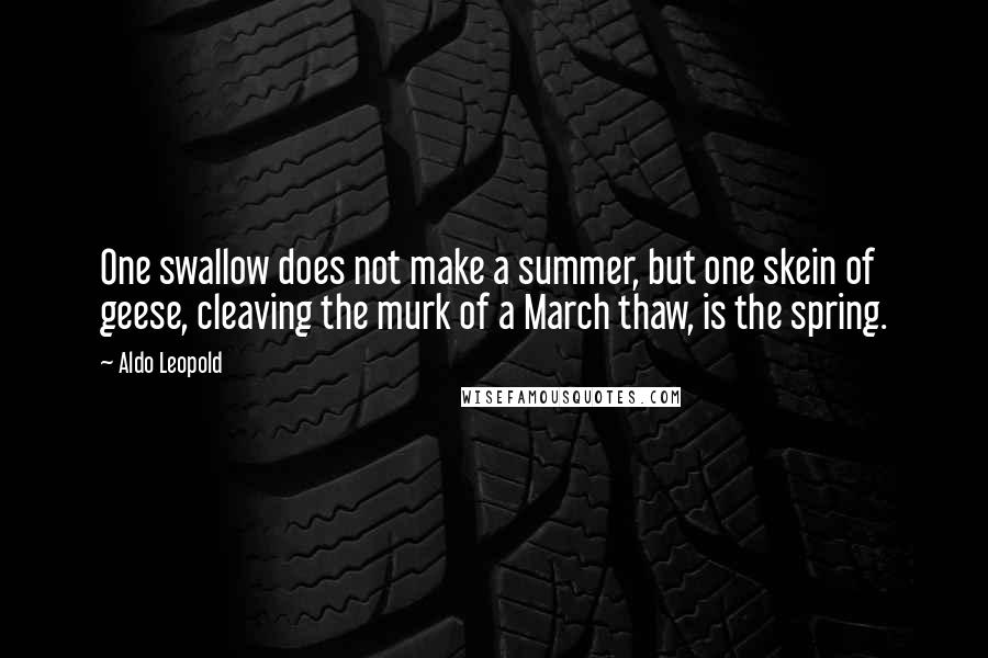 Aldo Leopold Quotes: One swallow does not make a summer, but one skein of geese, cleaving the murk of a March thaw, is the spring.