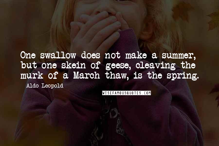 Aldo Leopold Quotes: One swallow does not make a summer, but one skein of geese, cleaving the murk of a March thaw, is the spring.