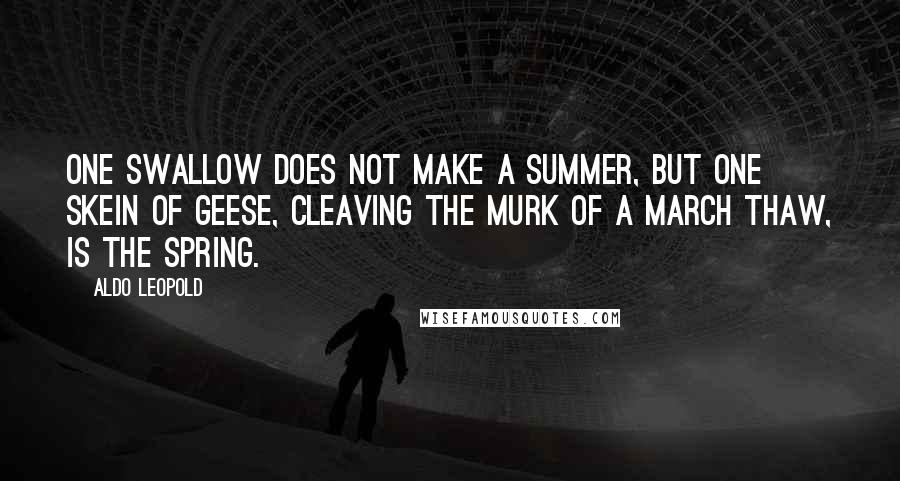 Aldo Leopold Quotes: One swallow does not make a summer, but one skein of geese, cleaving the murk of a March thaw, is the spring.