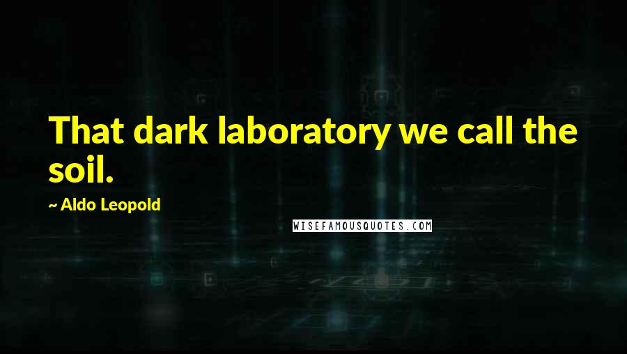 Aldo Leopold Quotes: That dark laboratory we call the soil.