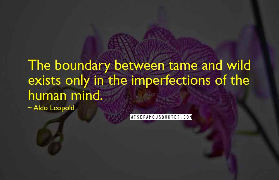 Aldo Leopold Quotes: The boundary between tame and wild exists only in the imperfections of the human mind.