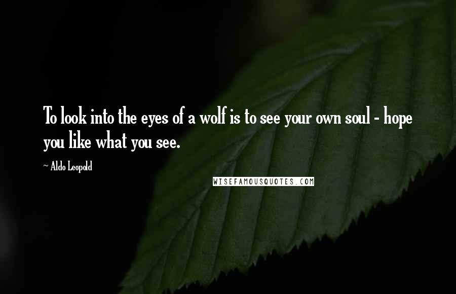 Aldo Leopold Quotes: To look into the eyes of a wolf is to see your own soul - hope you like what you see.