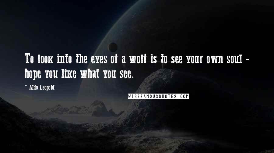 Aldo Leopold Quotes: To look into the eyes of a wolf is to see your own soul - hope you like what you see.