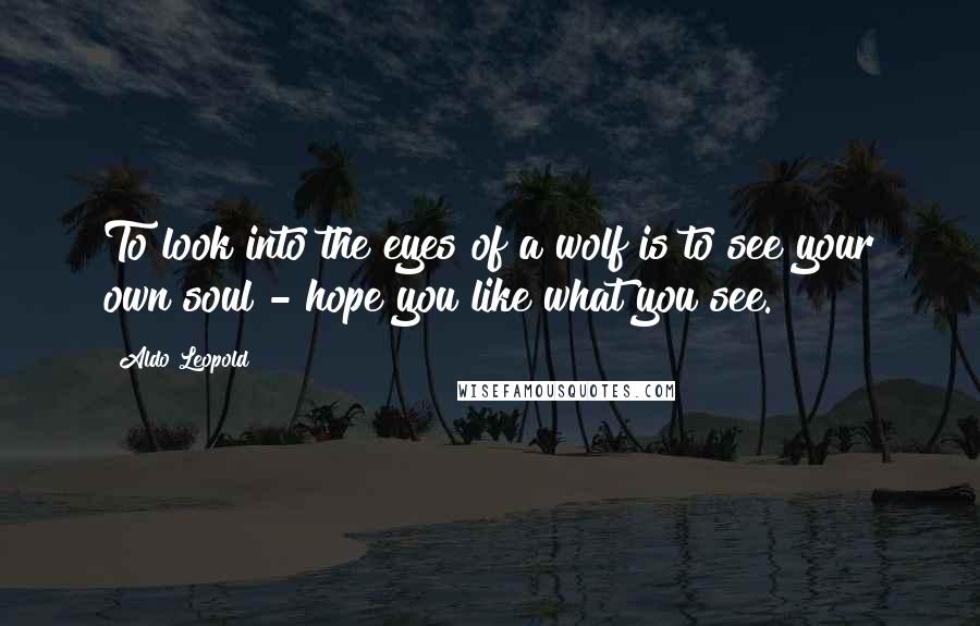 Aldo Leopold Quotes: To look into the eyes of a wolf is to see your own soul - hope you like what you see.