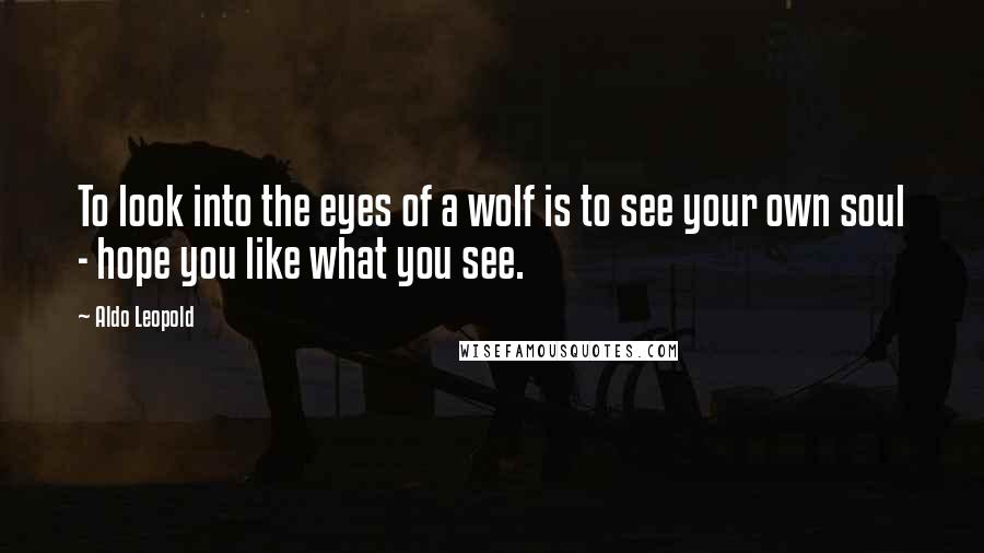 Aldo Leopold Quotes: To look into the eyes of a wolf is to see your own soul - hope you like what you see.