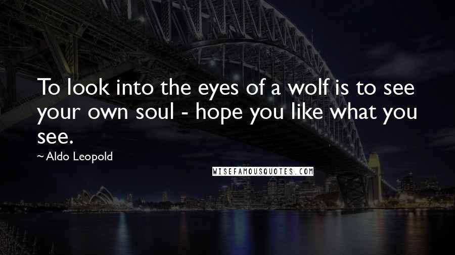 Aldo Leopold Quotes: To look into the eyes of a wolf is to see your own soul - hope you like what you see.