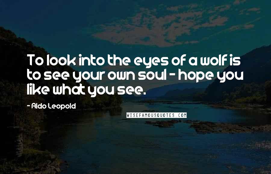 Aldo Leopold Quotes: To look into the eyes of a wolf is to see your own soul - hope you like what you see.