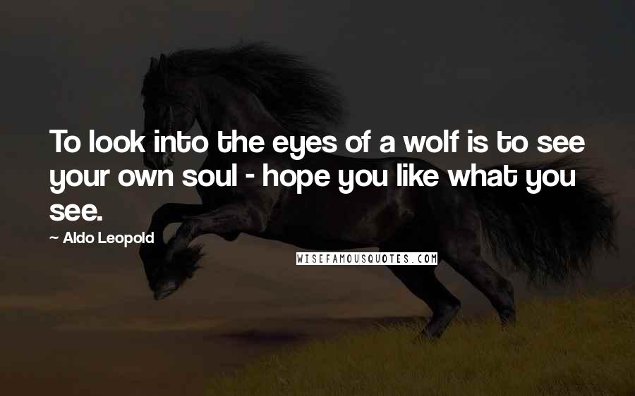 Aldo Leopold Quotes: To look into the eyes of a wolf is to see your own soul - hope you like what you see.