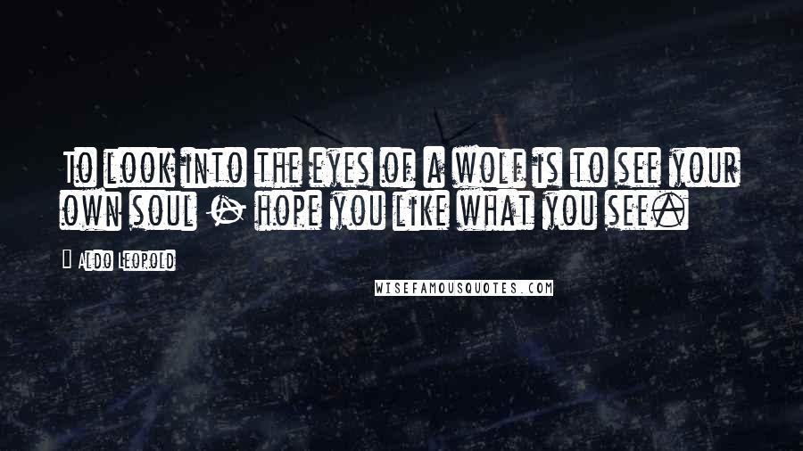 Aldo Leopold Quotes: To look into the eyes of a wolf is to see your own soul - hope you like what you see.