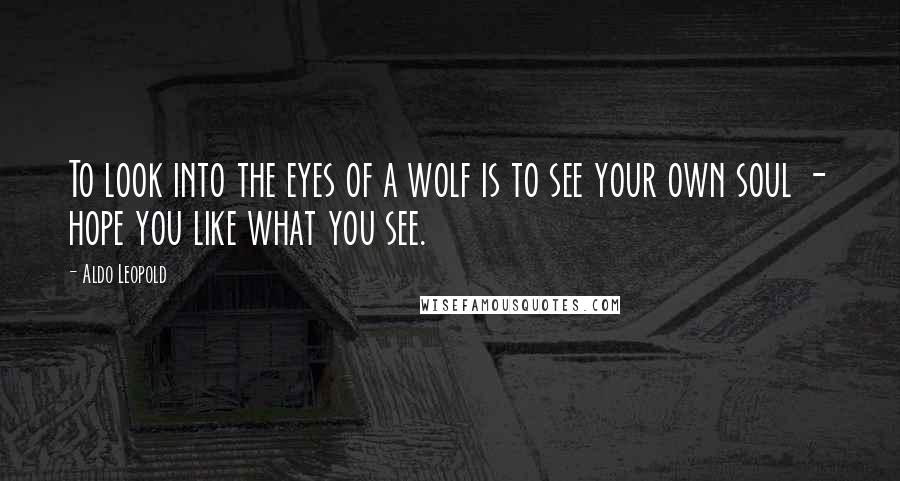 Aldo Leopold Quotes: To look into the eyes of a wolf is to see your own soul - hope you like what you see.