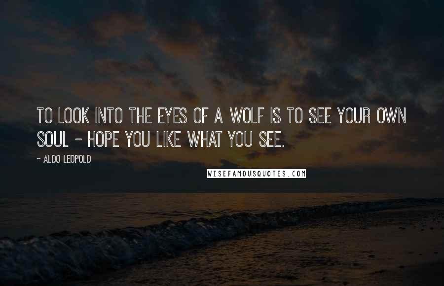 Aldo Leopold Quotes: To look into the eyes of a wolf is to see your own soul - hope you like what you see.