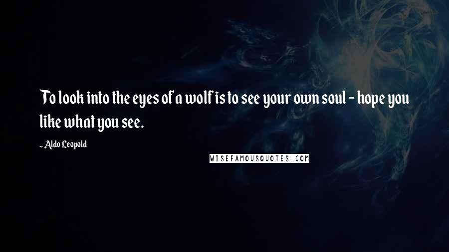 Aldo Leopold Quotes: To look into the eyes of a wolf is to see your own soul - hope you like what you see.