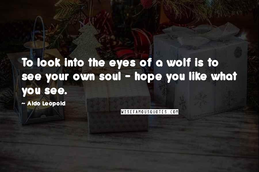 Aldo Leopold Quotes: To look into the eyes of a wolf is to see your own soul - hope you like what you see.