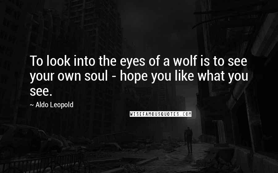 Aldo Leopold Quotes: To look into the eyes of a wolf is to see your own soul - hope you like what you see.