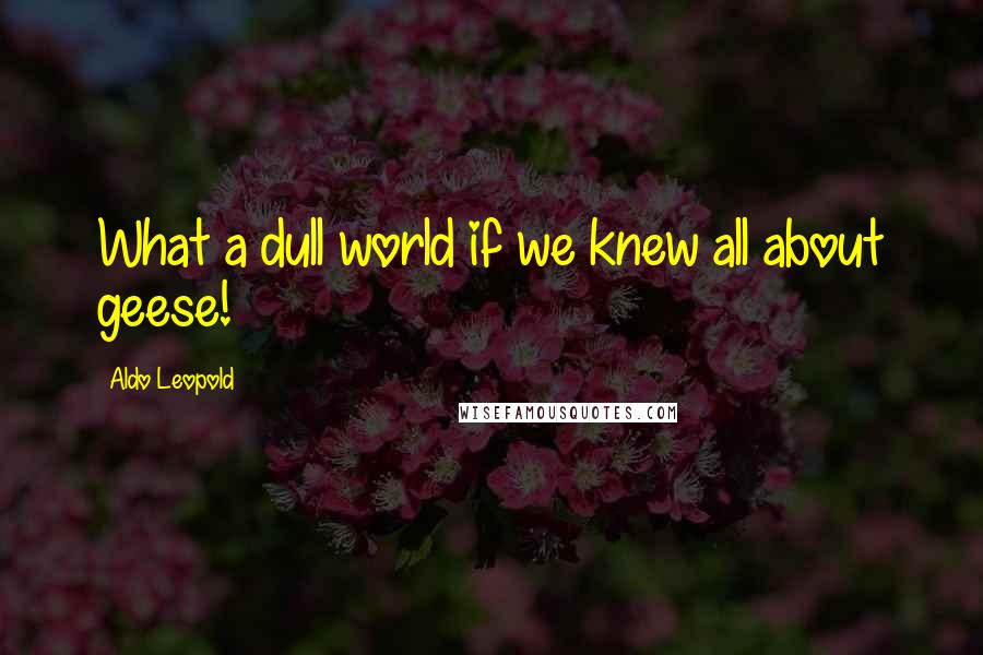 Aldo Leopold Quotes: What a dull world if we knew all about geese!