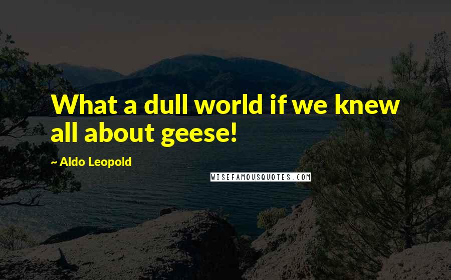 Aldo Leopold Quotes: What a dull world if we knew all about geese!