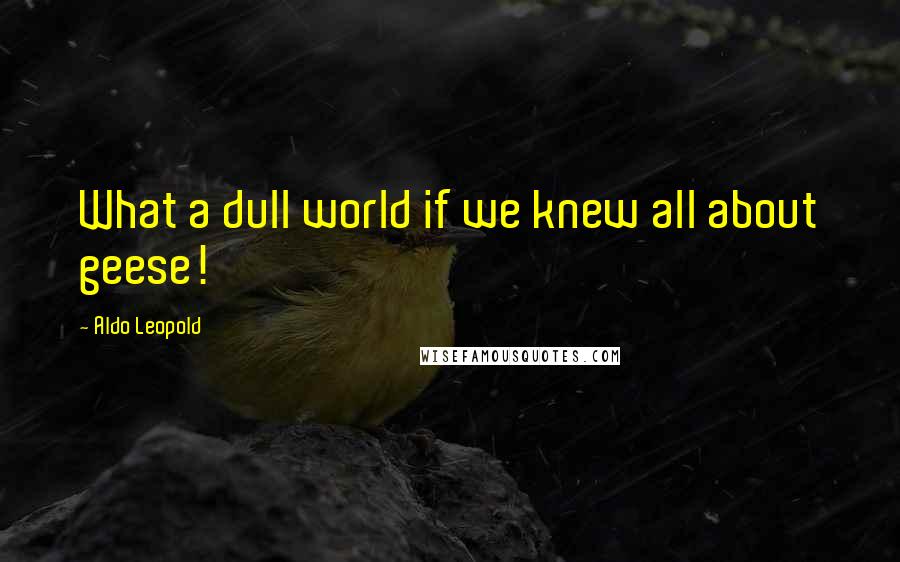 Aldo Leopold Quotes: What a dull world if we knew all about geese!