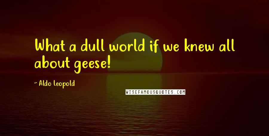 Aldo Leopold Quotes: What a dull world if we knew all about geese!