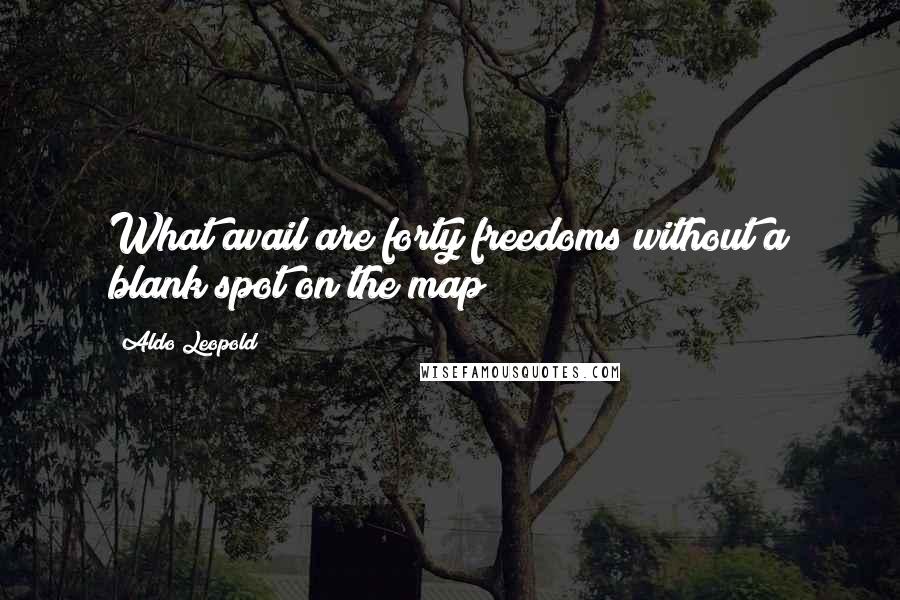 Aldo Leopold Quotes: What avail are forty freedoms without a blank spot on the map?