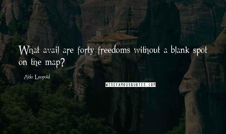 Aldo Leopold Quotes: What avail are forty freedoms without a blank spot on the map?