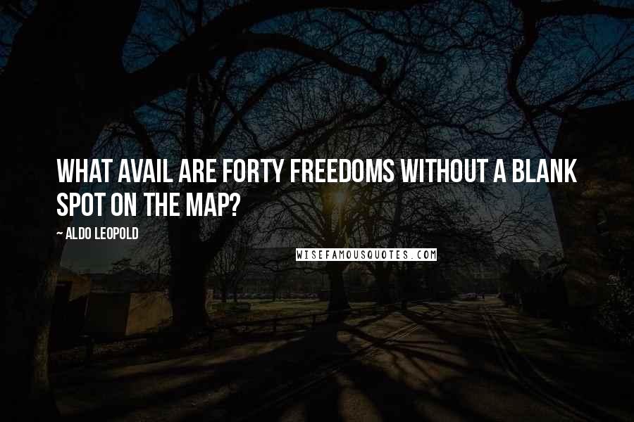 Aldo Leopold Quotes: What avail are forty freedoms without a blank spot on the map?