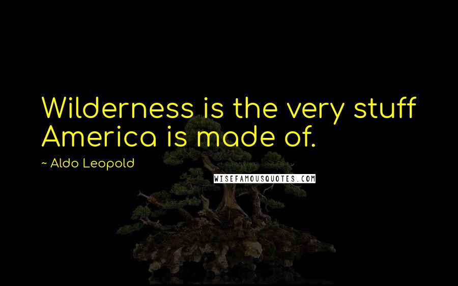 Aldo Leopold Quotes: Wilderness is the very stuff America is made of.