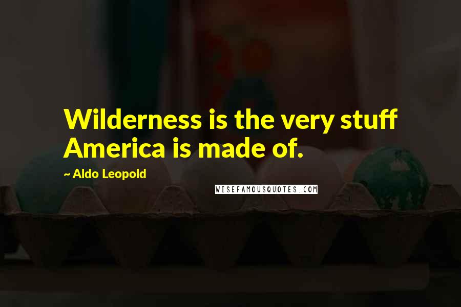 Aldo Leopold Quotes: Wilderness is the very stuff America is made of.