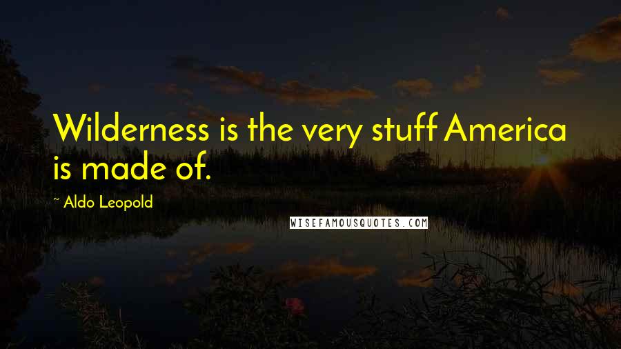 Aldo Leopold Quotes: Wilderness is the very stuff America is made of.