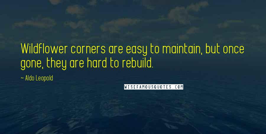 Aldo Leopold Quotes: Wildflower corners are easy to maintain, but once gone, they are hard to rebuild.
