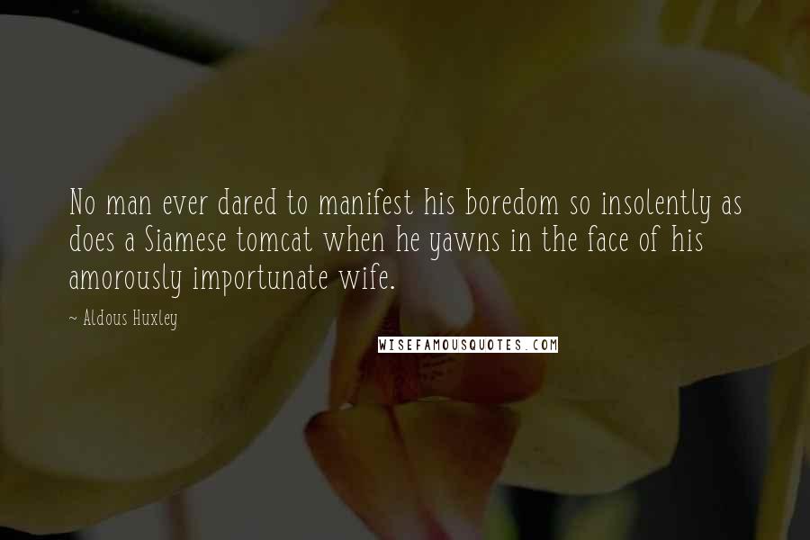 Aldous Huxley Quotes: No man ever dared to manifest his boredom so insolently as does a Siamese tomcat when he yawns in the face of his amorously importunate wife.